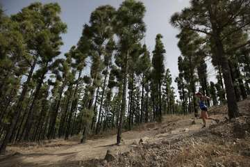 Artenara Trail 2022/Carlos Recio.